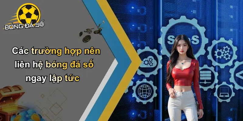 Liên Hệ