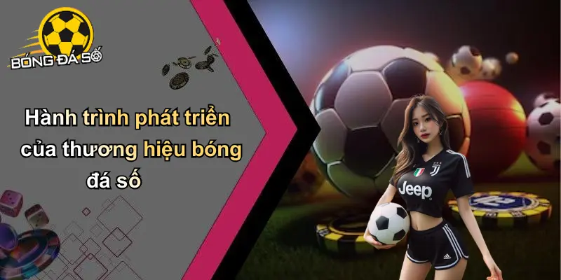 Về Chúng Tôi
