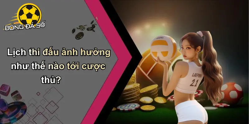 Lịch thi đấu