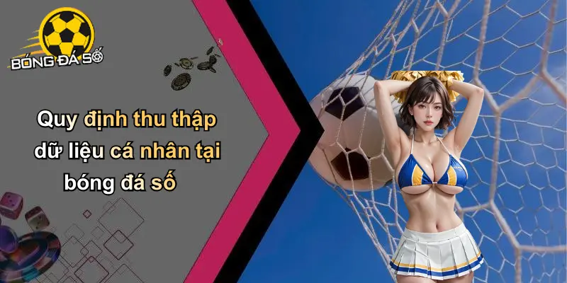 Chính Sách Quyền Riêng Tư
