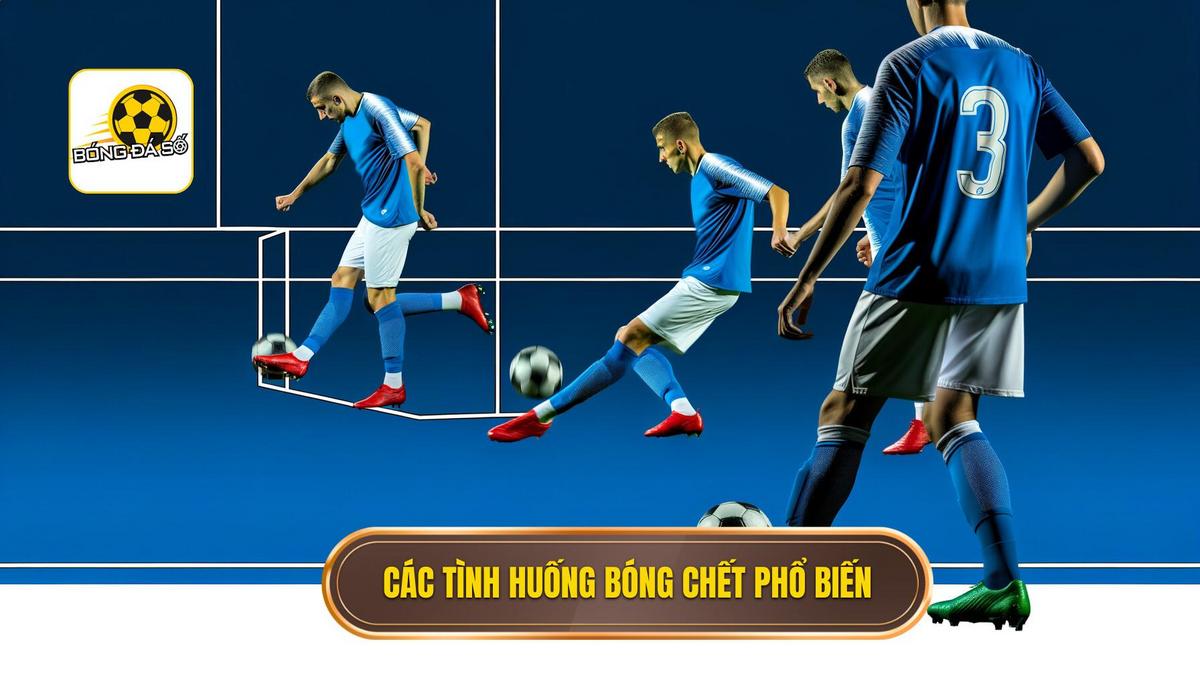 Các loại tình huống bóng chết thường gặp