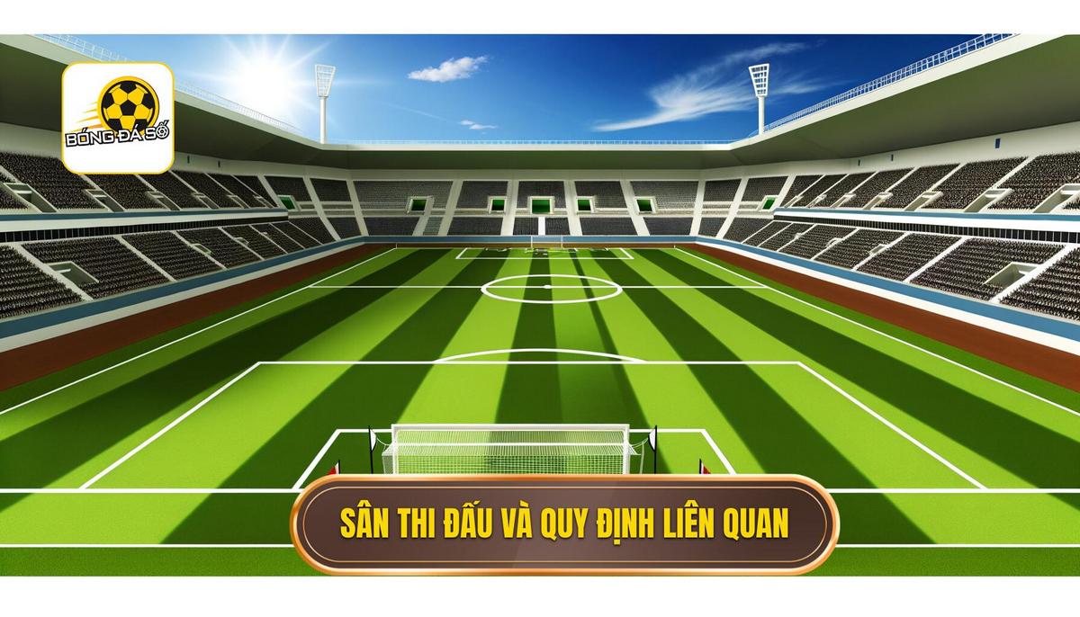 Sân thi đấu và các quy định liên quan