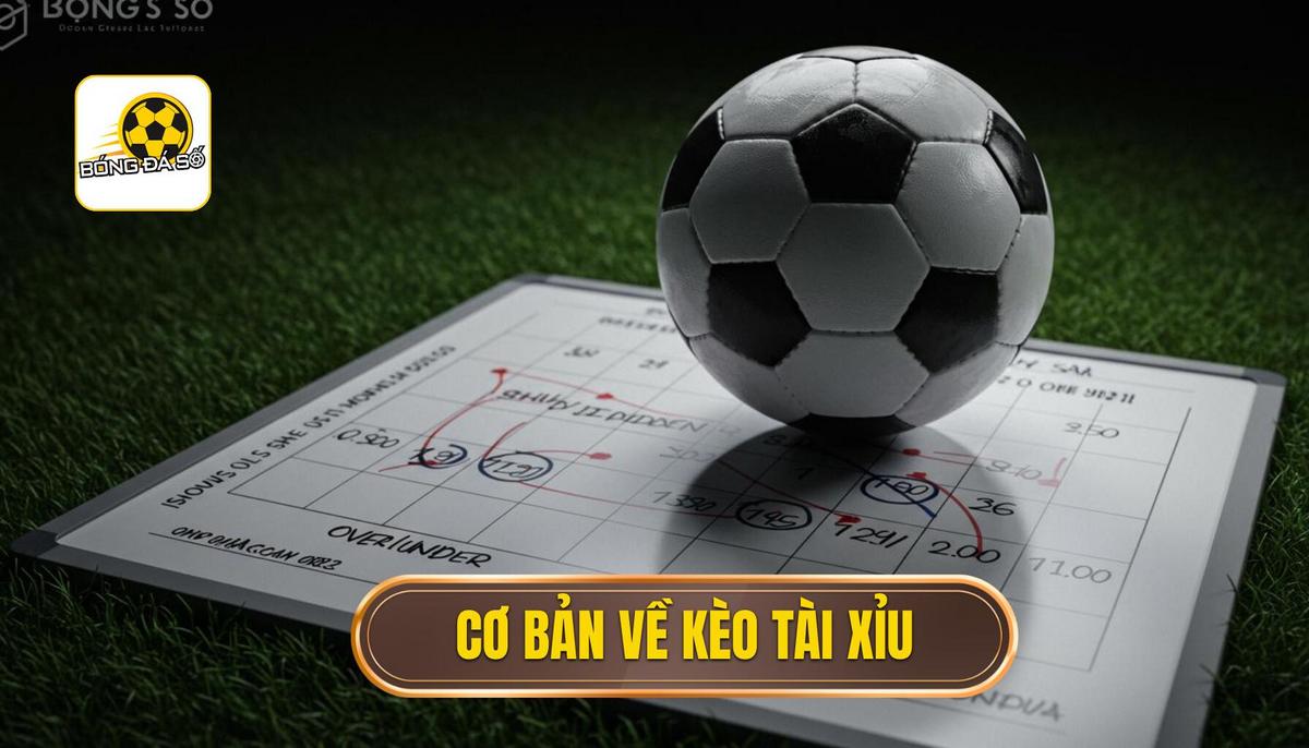 1. Cơ Bản Về Kèo Tài Xỉu (Over_Under)