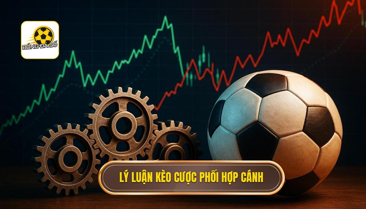 Cơ Sở Lý Luận Kèo Cược Phối Hợp Cánh