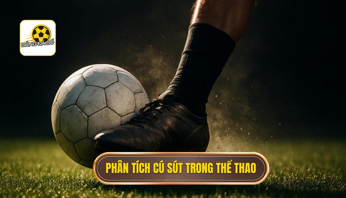 Phân Tích Cơ Học_ Các Giai Đoạn Vàng Của Cú Sút