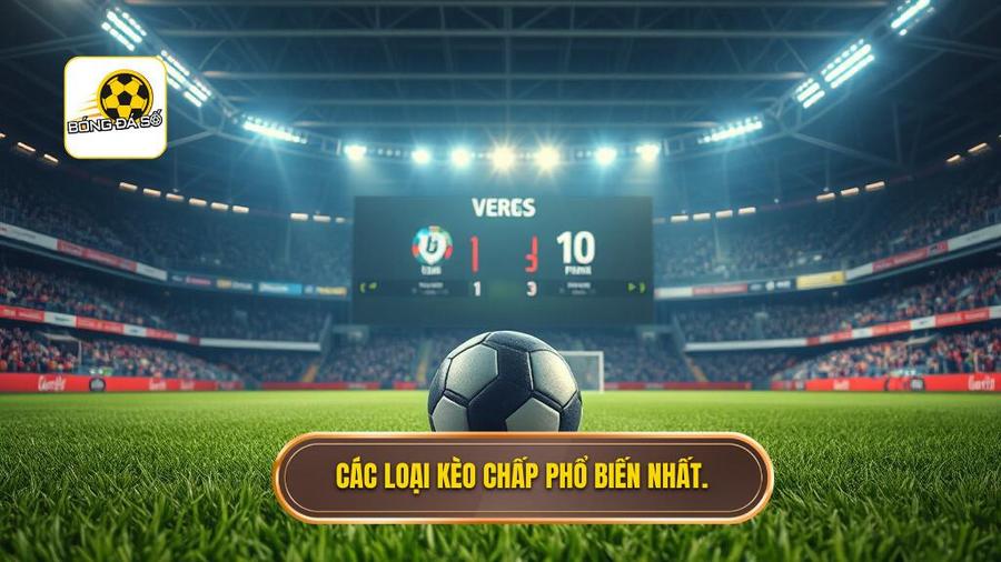 Các loại kèo chấp phổ biến nhất.