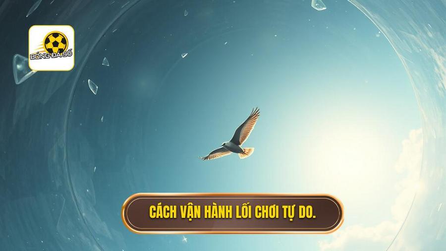Cách vận hành lối chơi: Tự do trong khuôn khổ