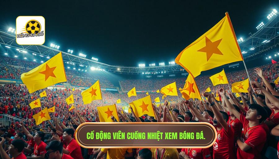 Cổ động viên cuồng nhiệt xem bóng đá