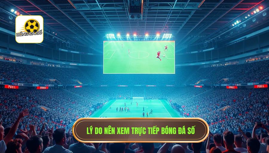 Lý do nên xem trực tiếp Bóng Đá Số
